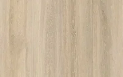 BLOND OAK