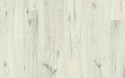 CLOUDED OAK