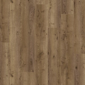 SUNKISSED OAK
