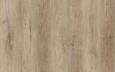 CORTADO OAK